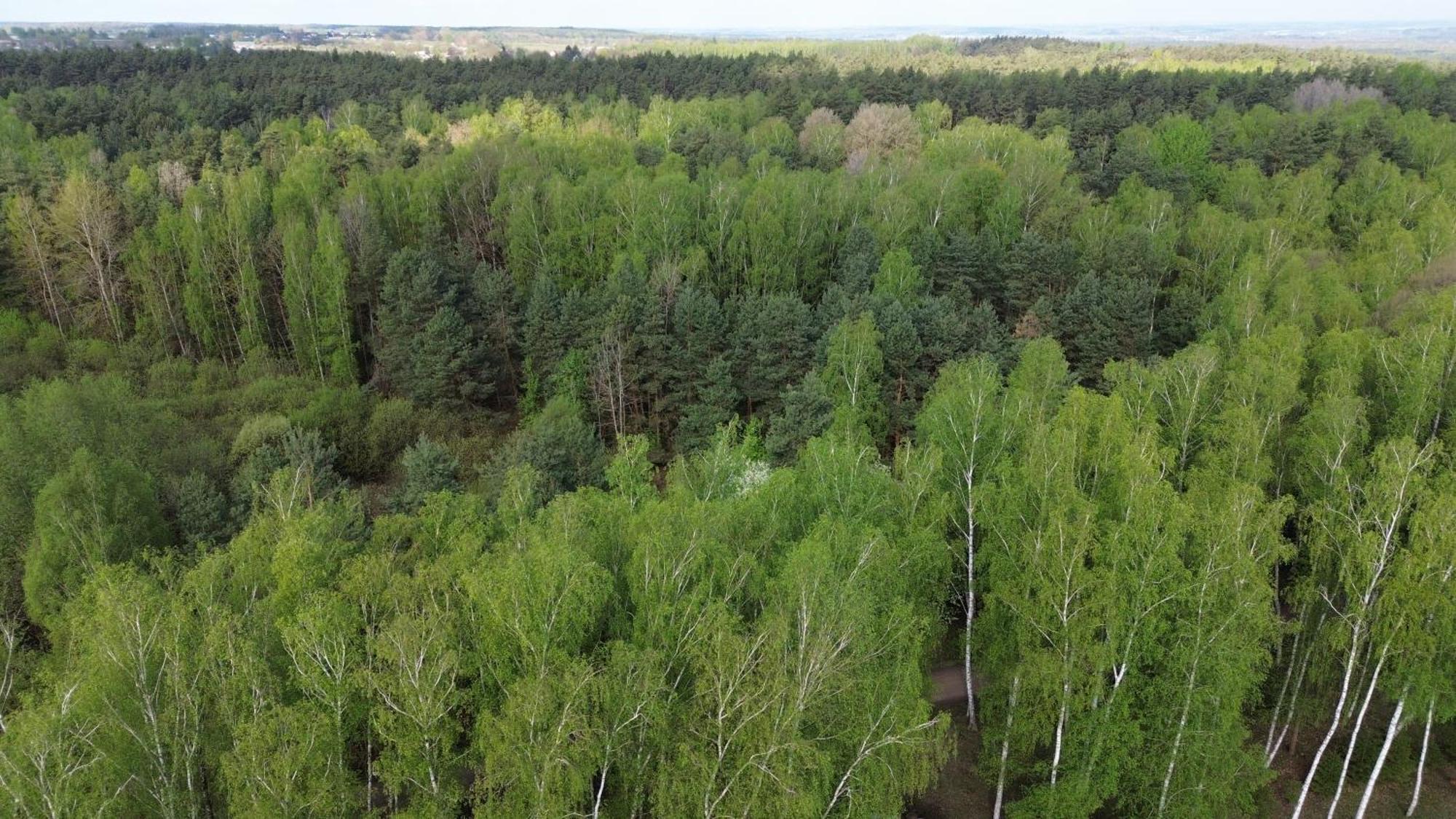 Dom Wakacyjny Z Ogromnym Ogrodem Witaszyn Exteriör bild